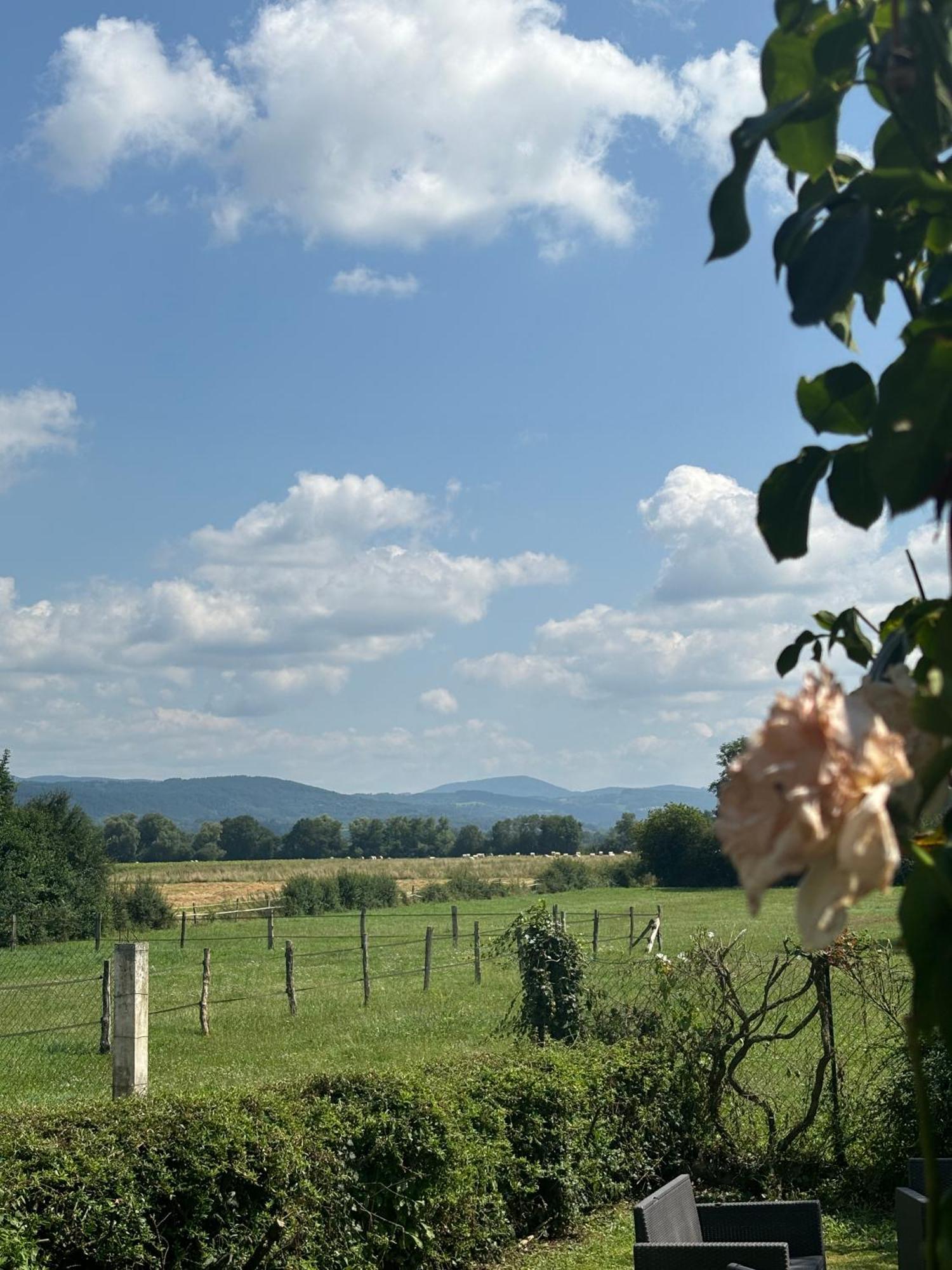 Apartamento Studio En Auvergne Le Ruisseau Saint-Priest-Bramefant Exterior foto